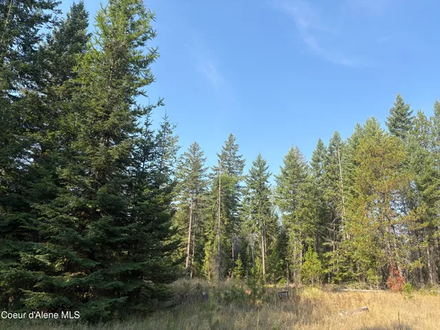 $475,000 | Nna North Nna N Lewellen Creek, Athol, ID 83801