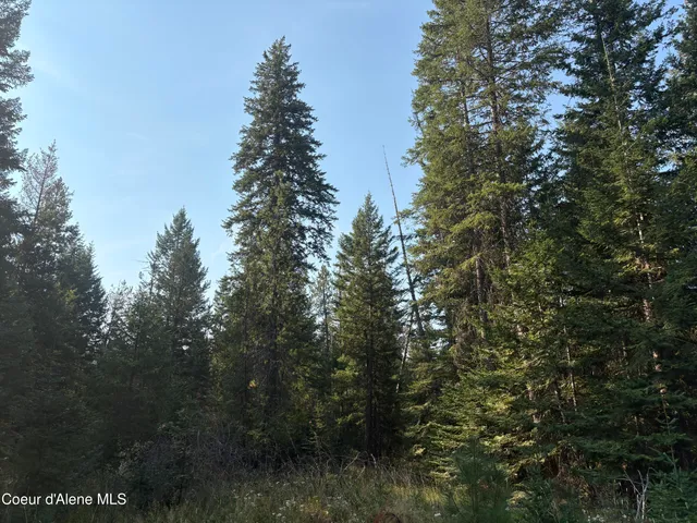 $475,000 | Nna North Nna N Lewellen Creek, Athol, ID 83801