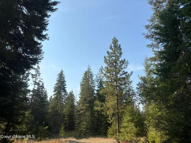 $475,000 | Nna North Nna N Lewellen Creek, Athol, ID 83801