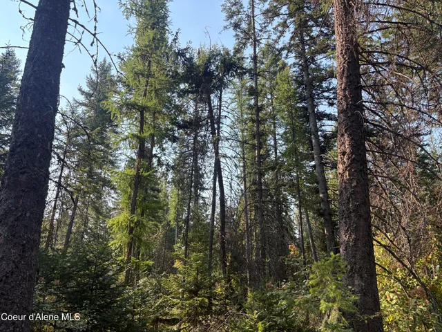 $475,000 | Nna North Nna N Lewellen Creek, Athol, ID 83801