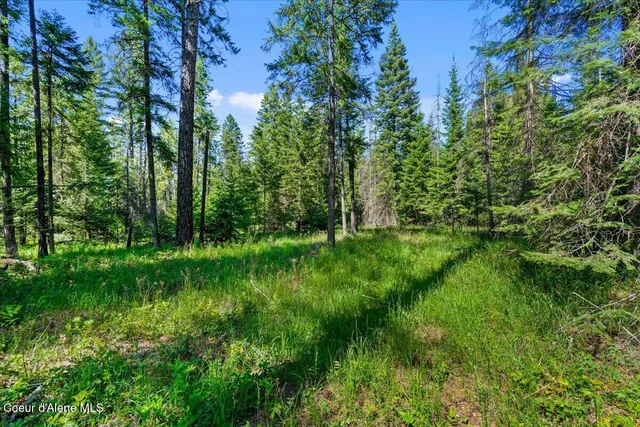 $475,000 | Nna North Nna N Lewellen Creek, Athol, ID 83801