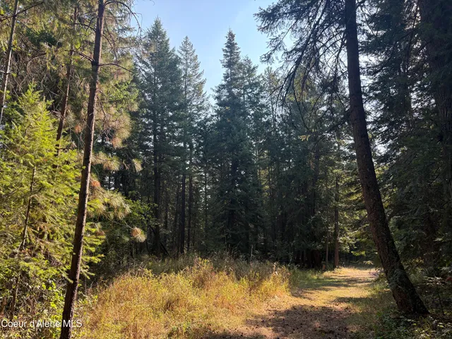 $475,000 | Nna North Nna N Lewellen Creek, Athol, ID 83801