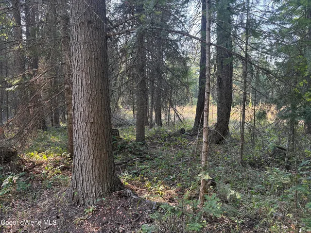 $475,000 | Nna North Nna N Lewellen Creek, Athol, ID 83801