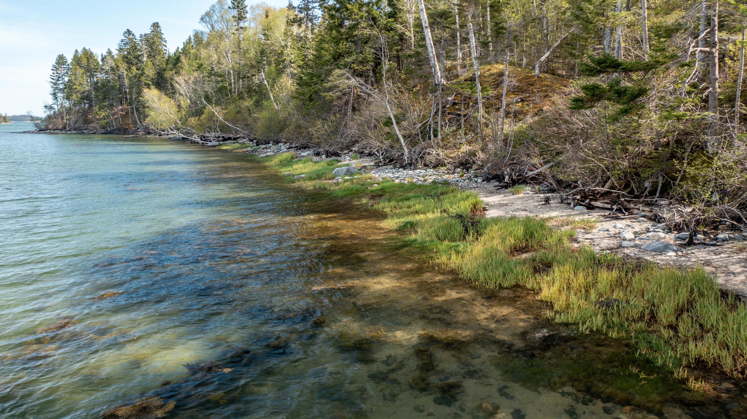 680 Duck Cove Road Roque Bluffs, ME 04654 - Photo 103 of 103 680 Duck Cove Rd Roque Bluffs (42 of 43)