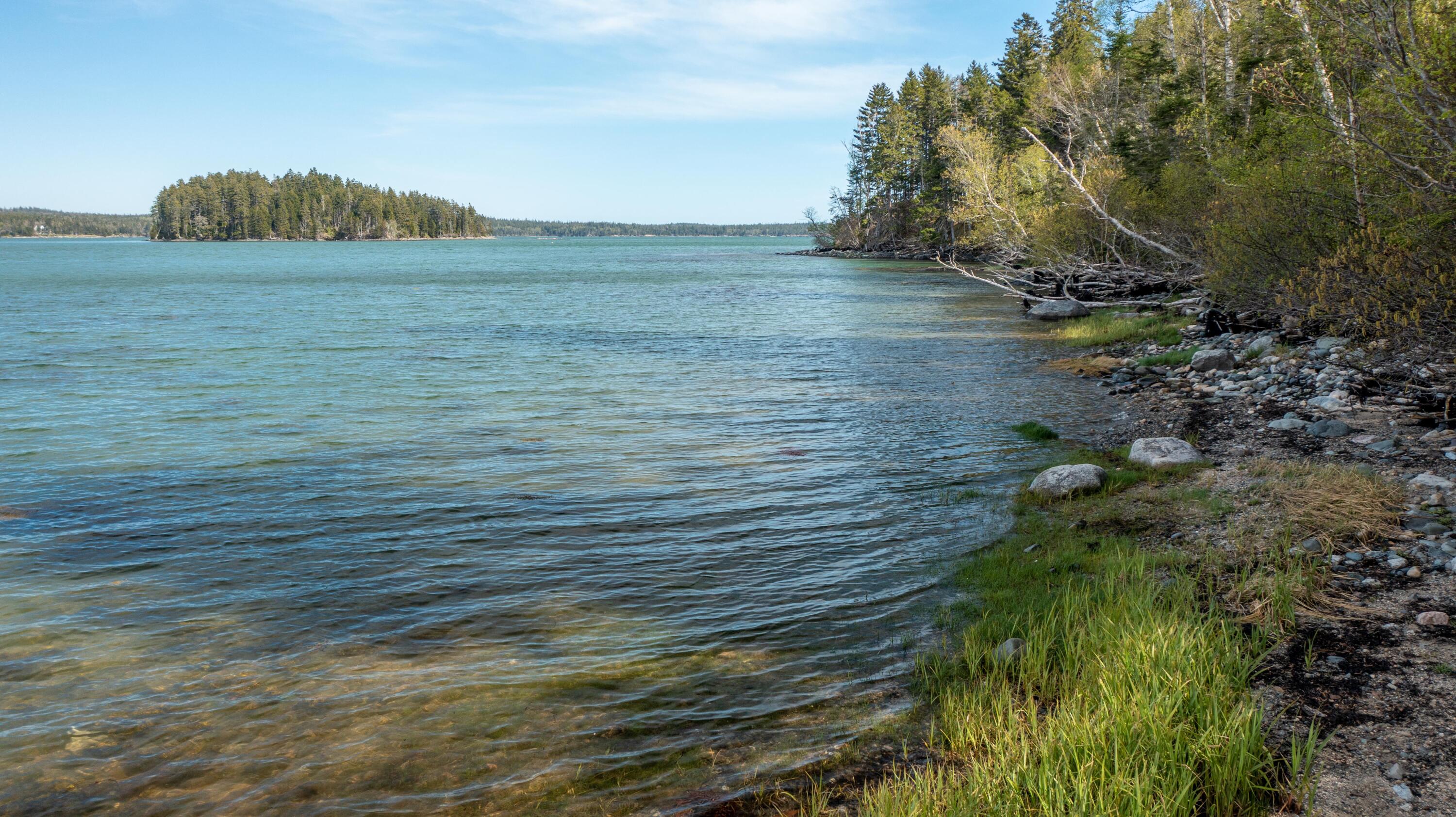 680 Duck Cove Road Roque Bluffs, ME 04654 - Photo 12 of 103 680 Duck Cove Rd Roque Bluffs (40 of 43)