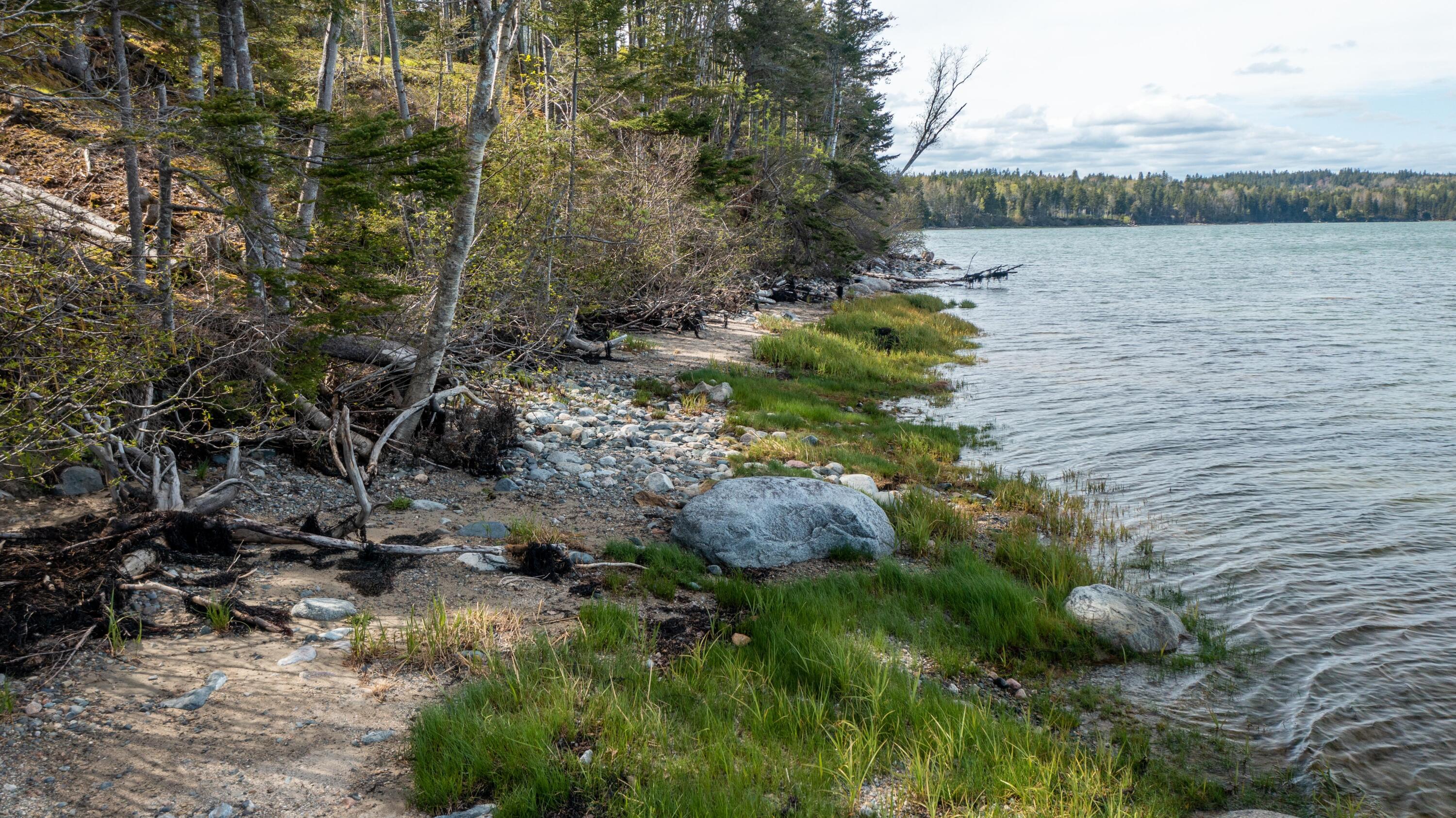 680 Duck Cove Road Roque Bluffs, ME 04654 - Photo 14 of 103 680 Duck Cove Rd Roque Bluffs (41 of 43)