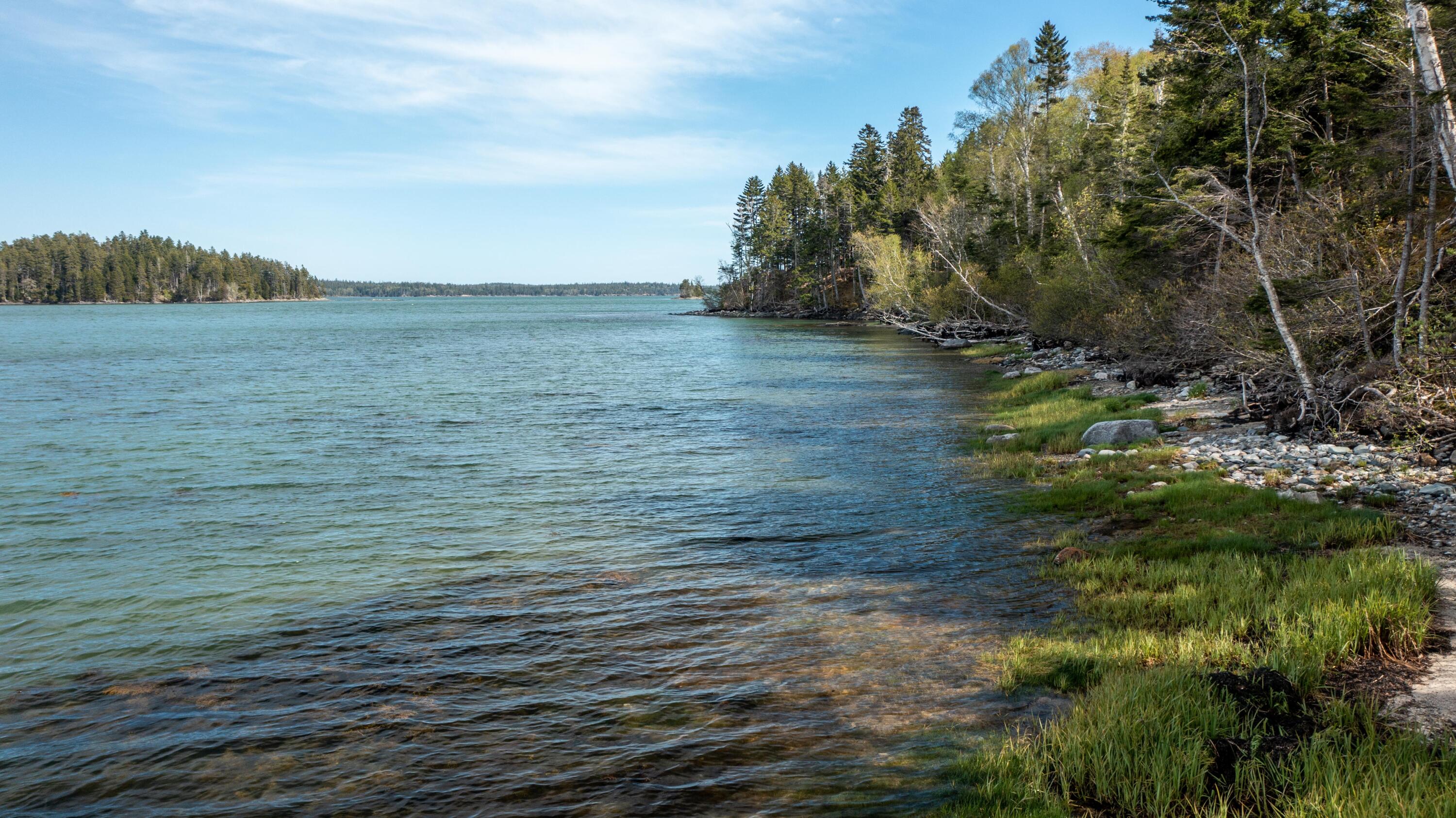 680 Duck Cove Road Roque Bluffs, ME 04654 - Photo 16 of 103 680 Duck Cove Rd Roque Bluffs (43 of 43)