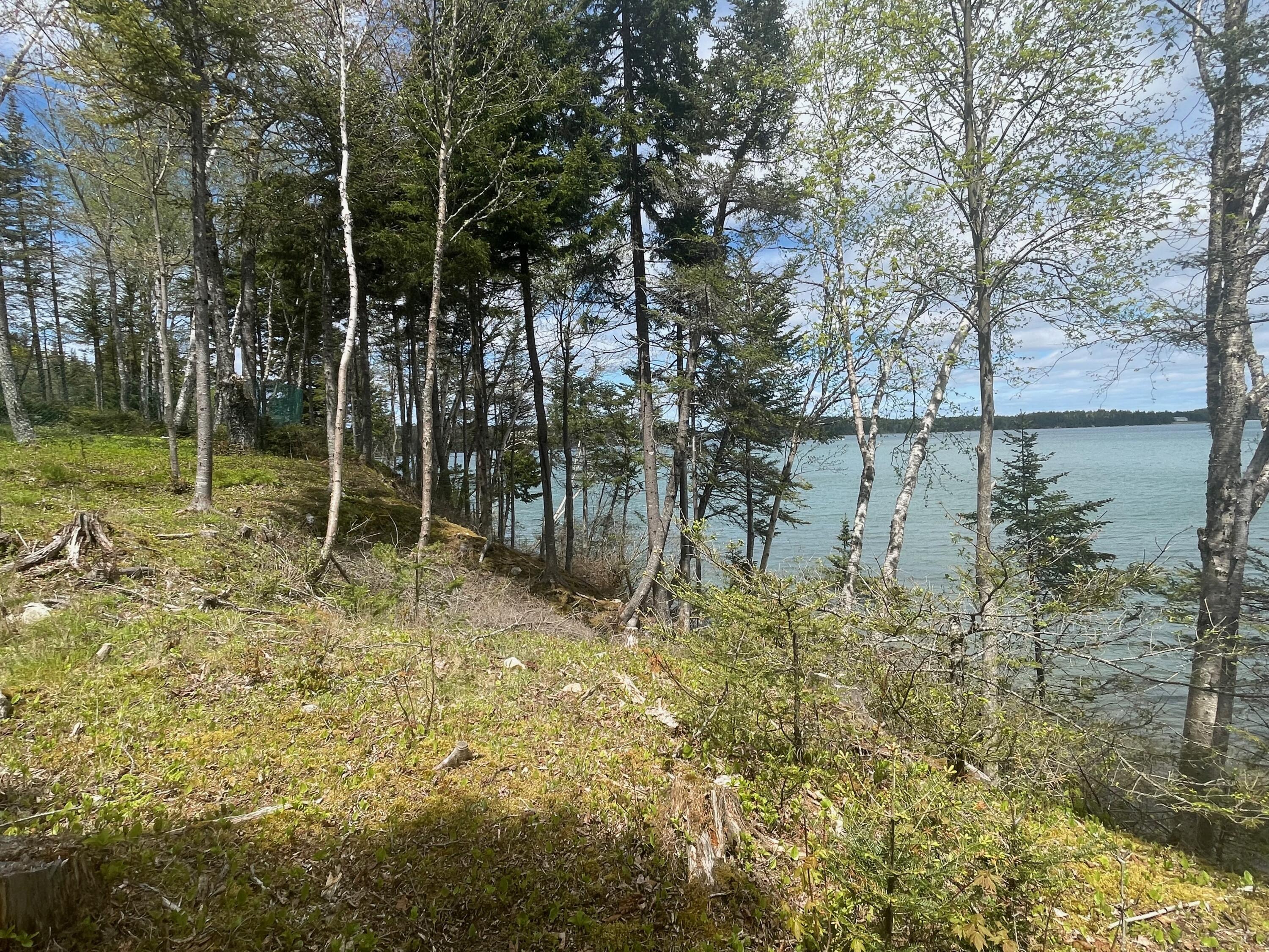 680 Duck Cove Road Roque Bluffs, ME 04654 - Photo 33 of 103 IMG_3947