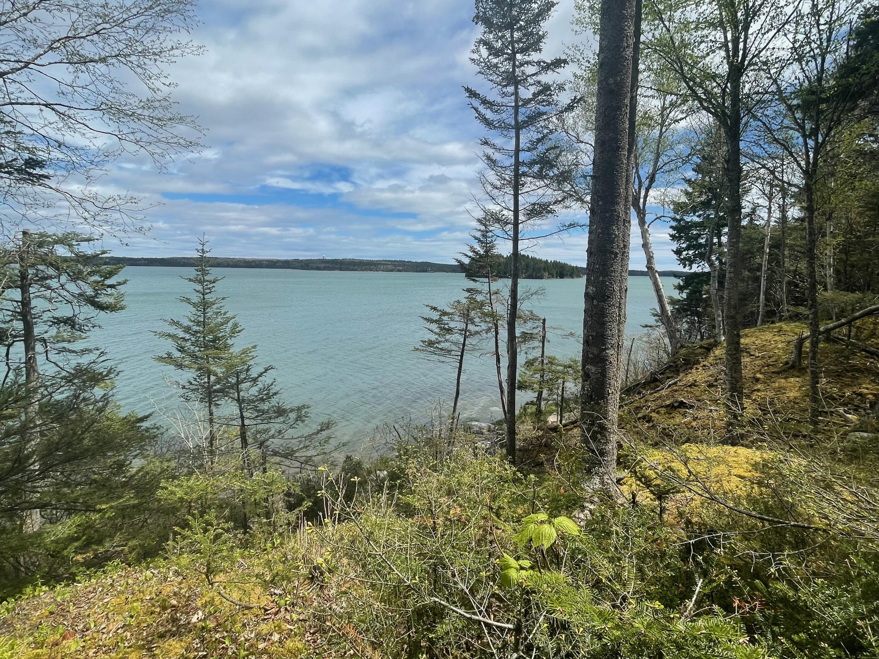 680 Duck Cove Road Roque Bluffs, ME 04654 - Photo 34 of 103 IMG_3946