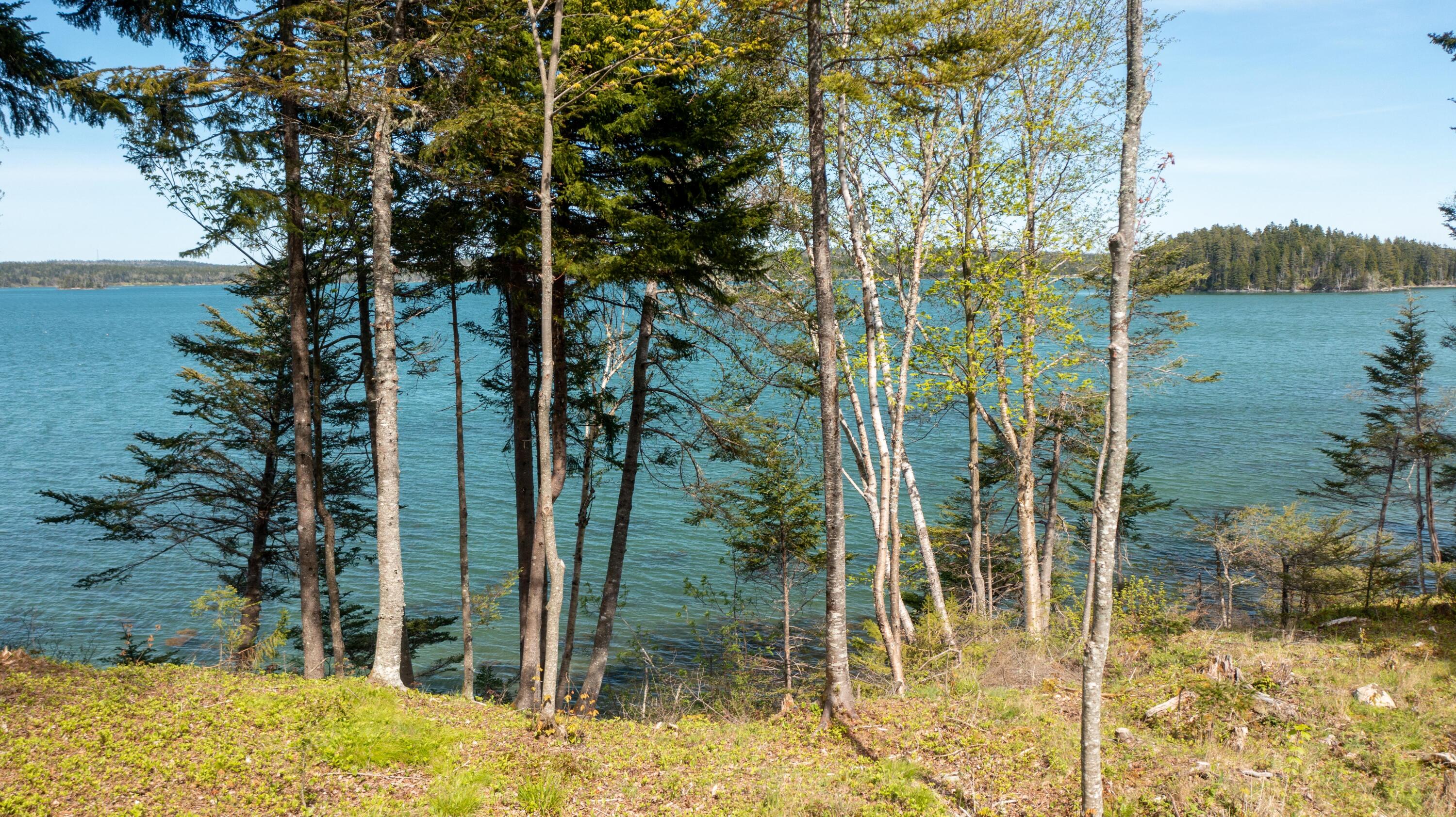 680 Duck Cove Road Roque Bluffs, ME 04654 - Photo 100 of 103 680 Duck Cove Rd Roque Bluffs (26 of 43)