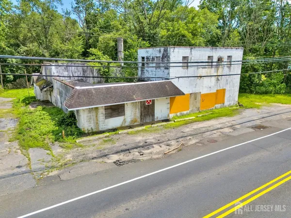 a aerial view of a house with a yard and potted plants