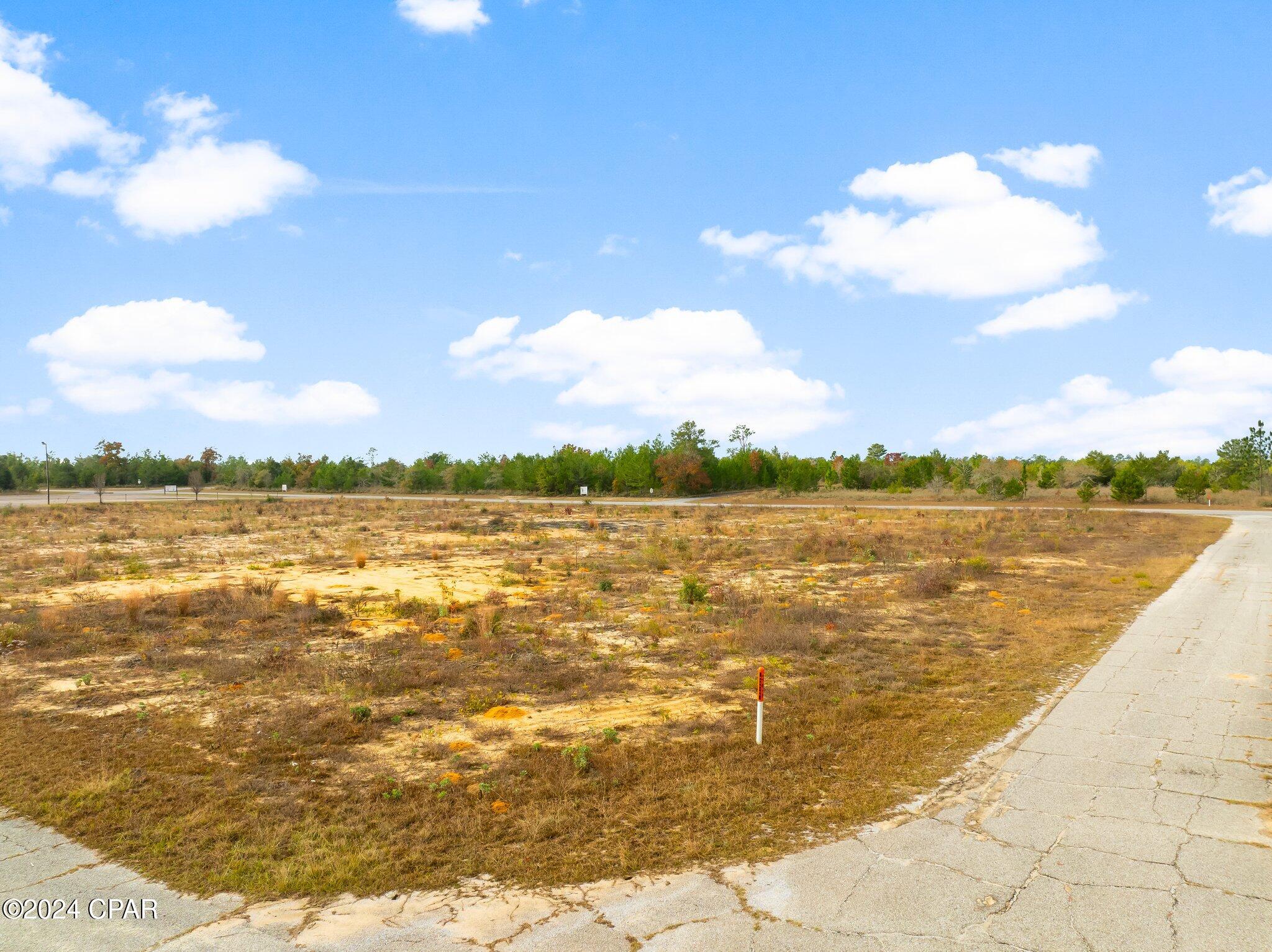 0 Challenger Boulevard Chipley, FL 32428 - Photo 8 of 8