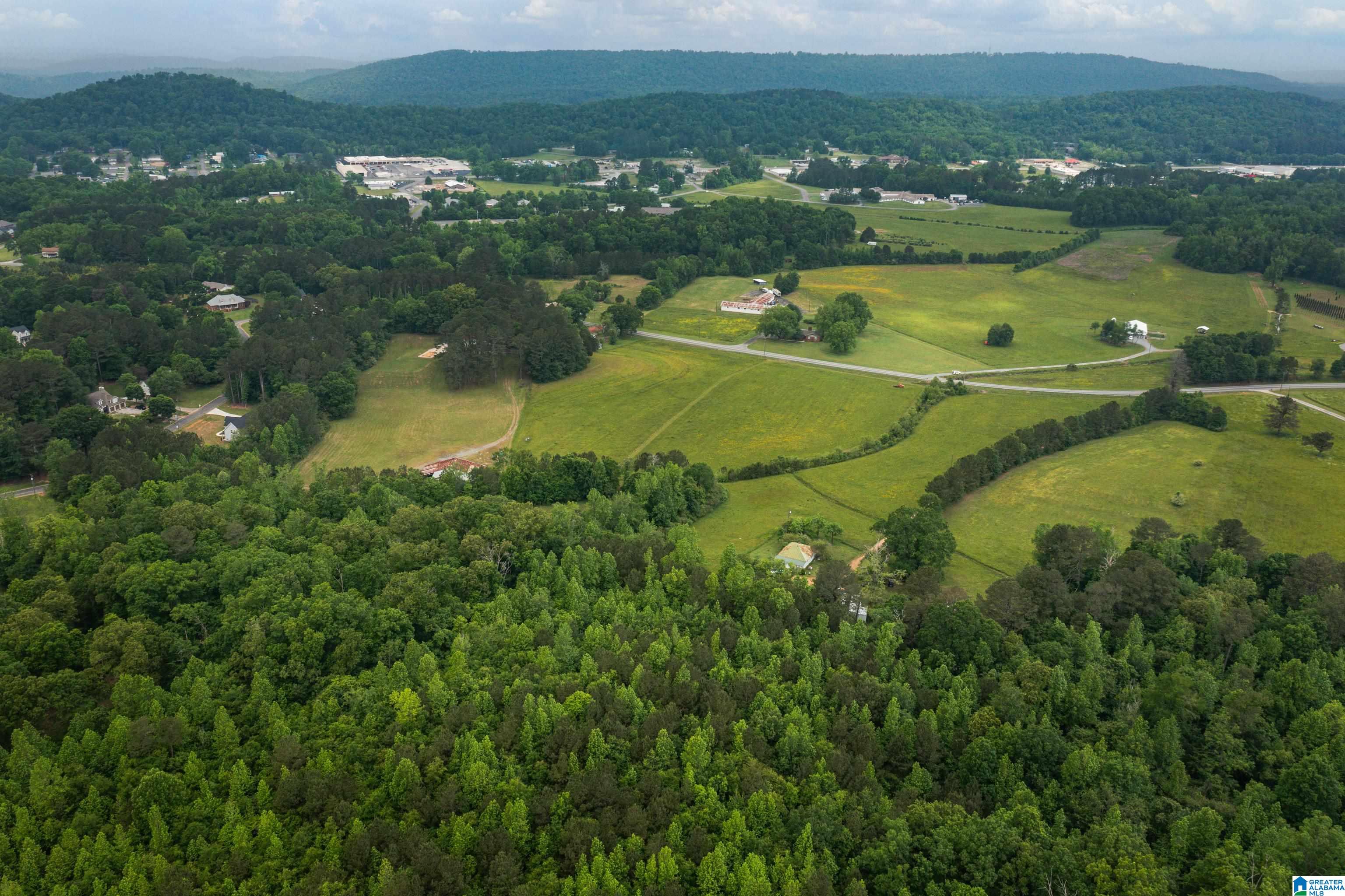 0 Valley Road, Unit 1 Oneonta, AL 35121 - Photo 9 of 19 Gallery Image 9