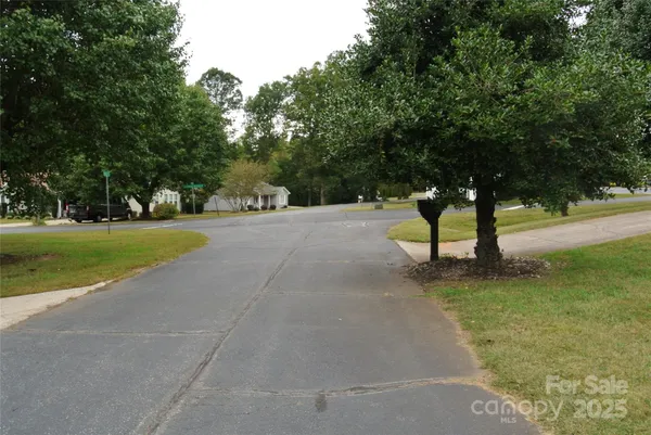 a view of a yard with a tree