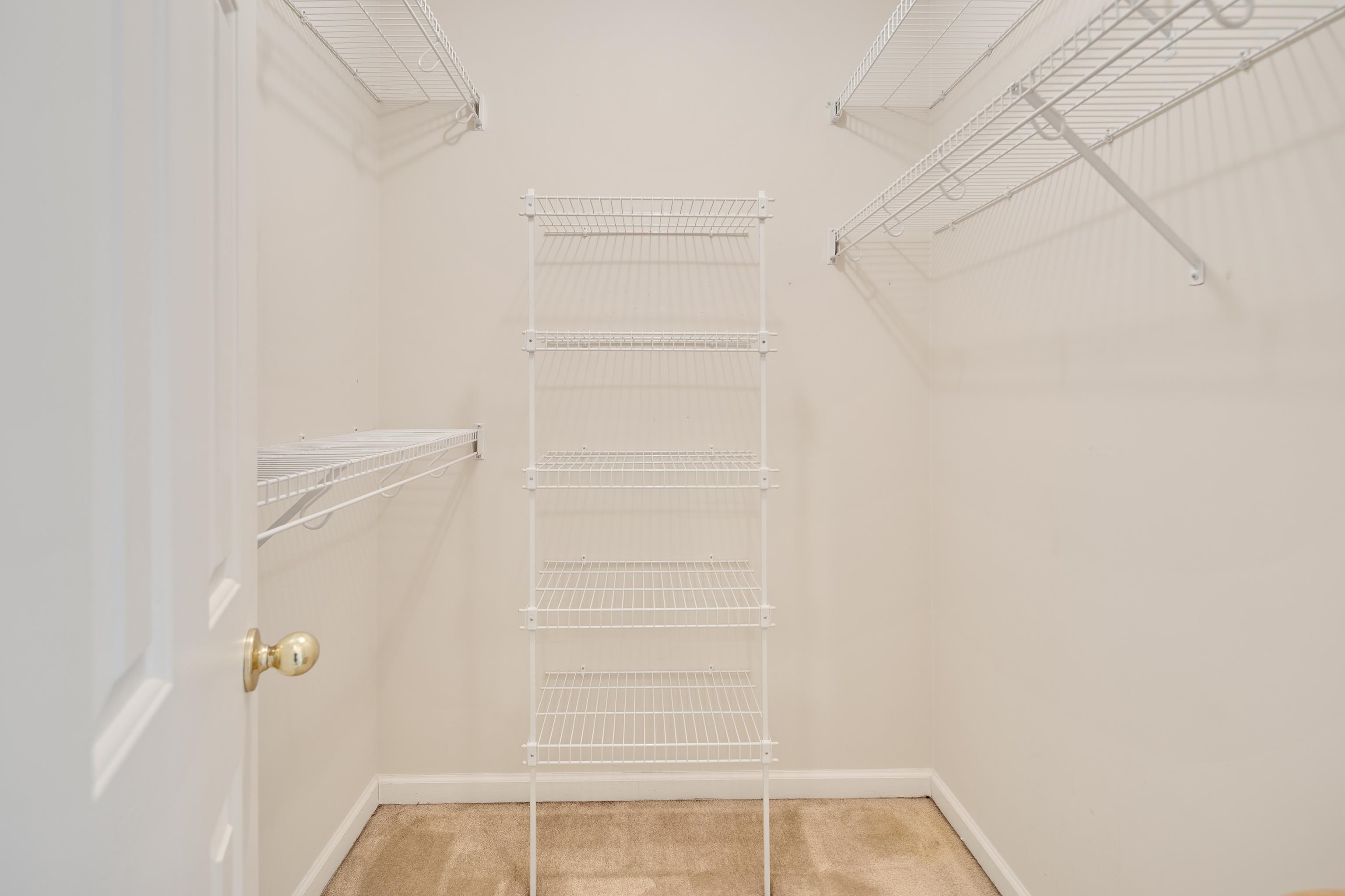 954 Wildbird Cove Collierville, TN 38017 - Photo 24 of 32 a view of walk in closet