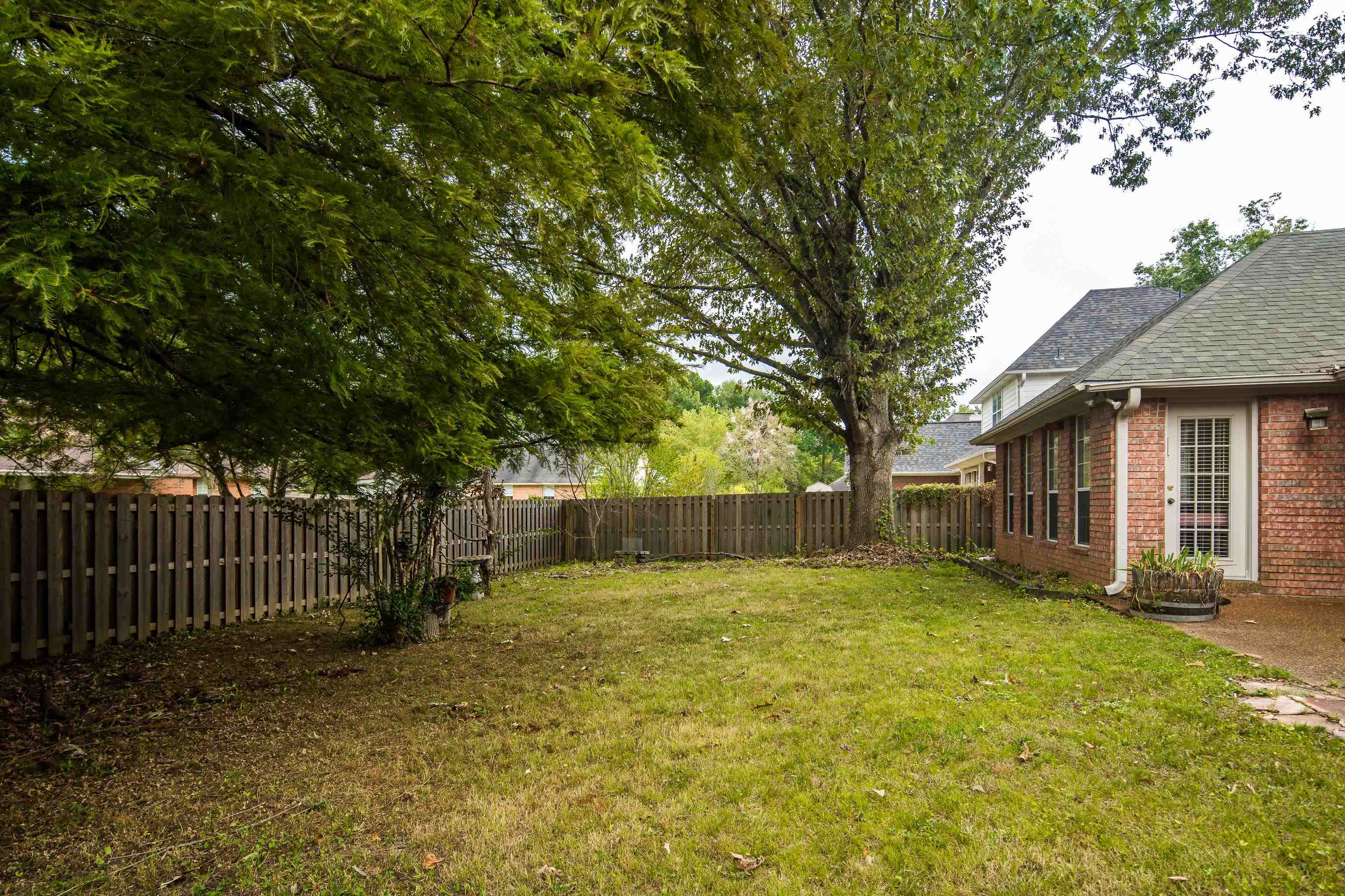 954 Wildbird Cove Collierville, TN 38017 - Photo 30 of 32 a view of a small yard in front of a house