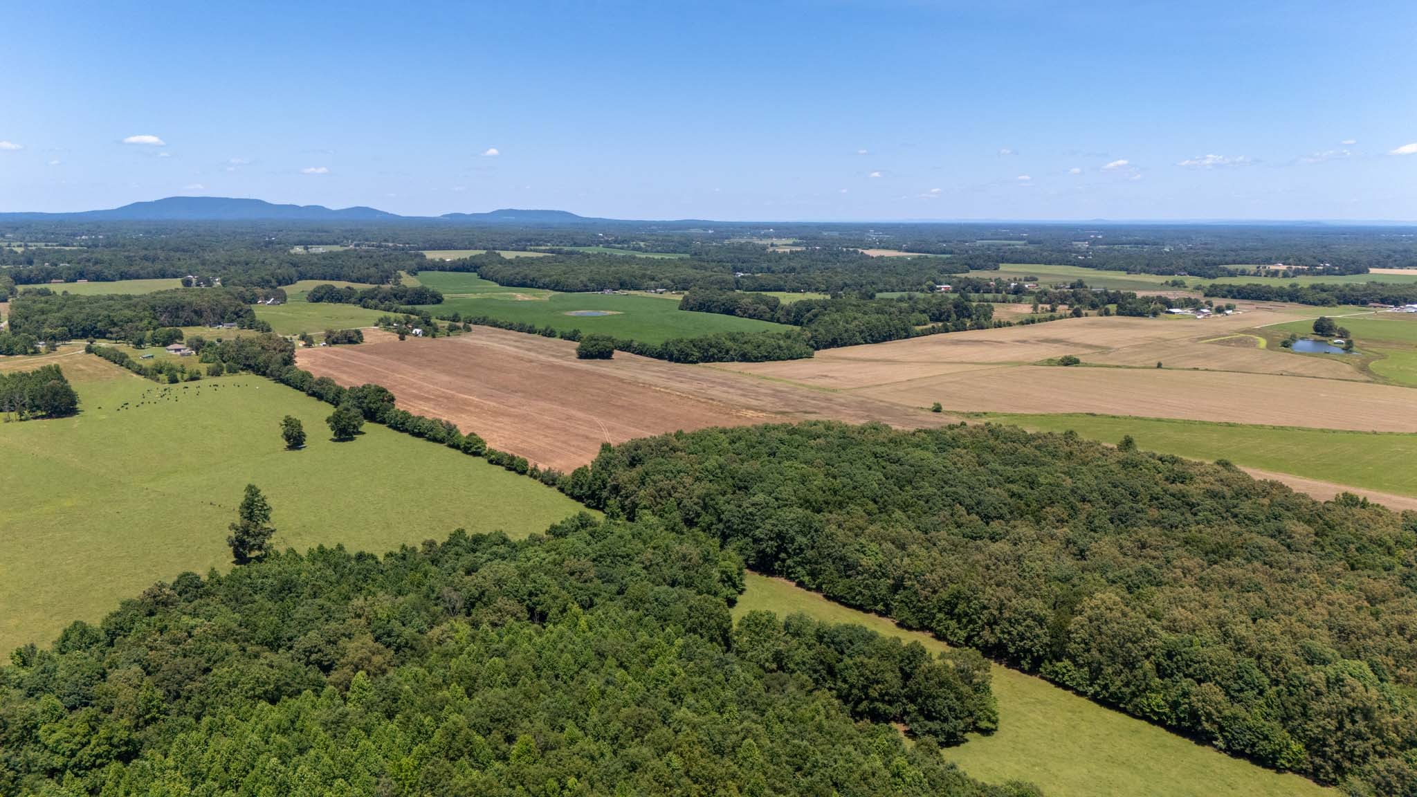 0 Brown Road Woodbury, TN 37190 - Photo 17 of 34