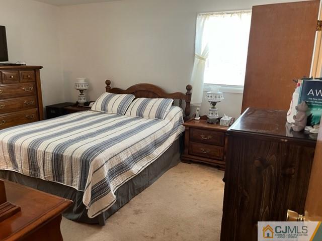 730 Lawrence Road Bound Brook, NJ 08805 - Photo 18 of 23 a bedroom with a bed and a closet