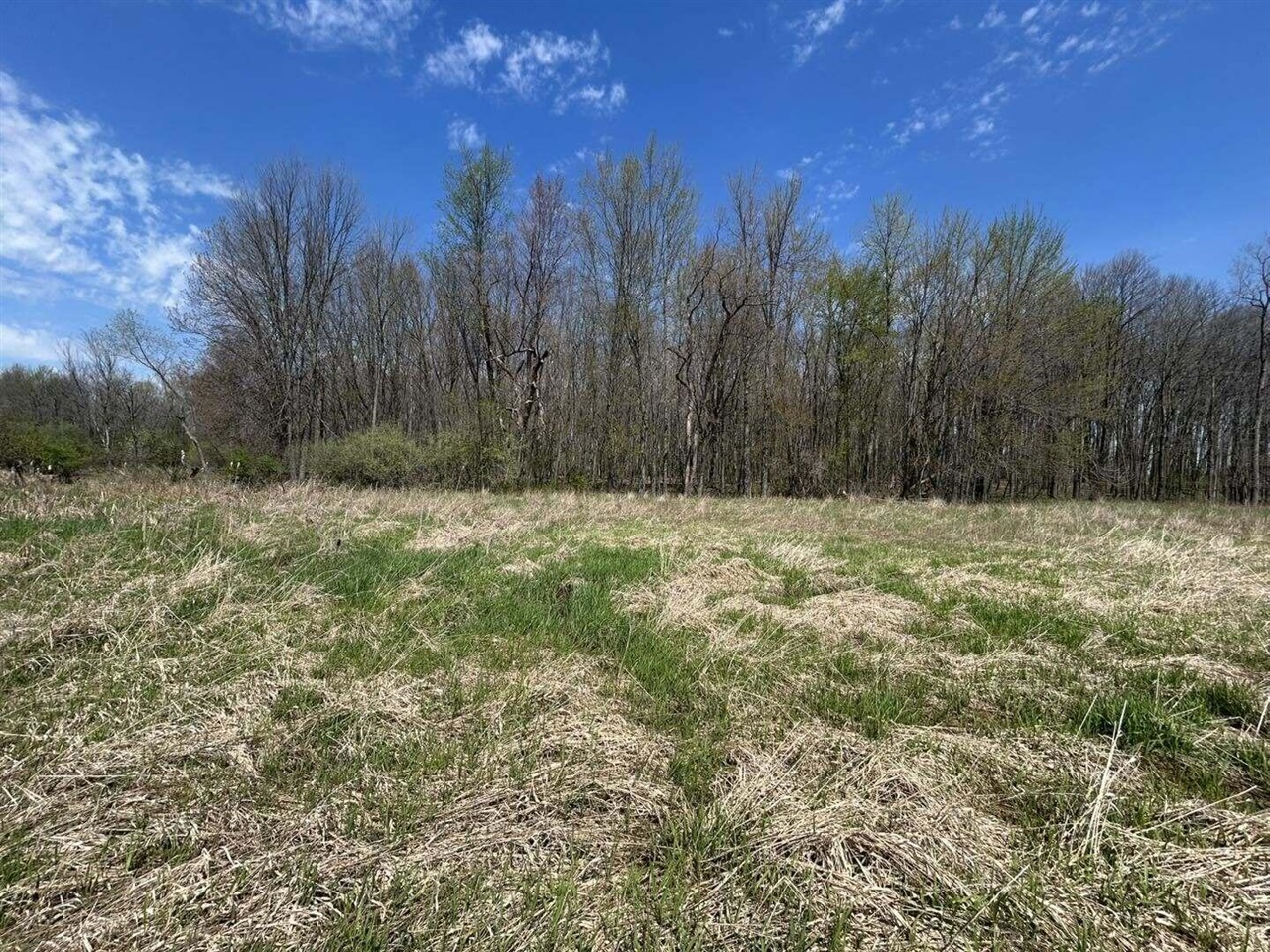 Halfmoon Lake Road Hillsdale, MI 49242 - Photo 10 of 11 Gallery Image 10