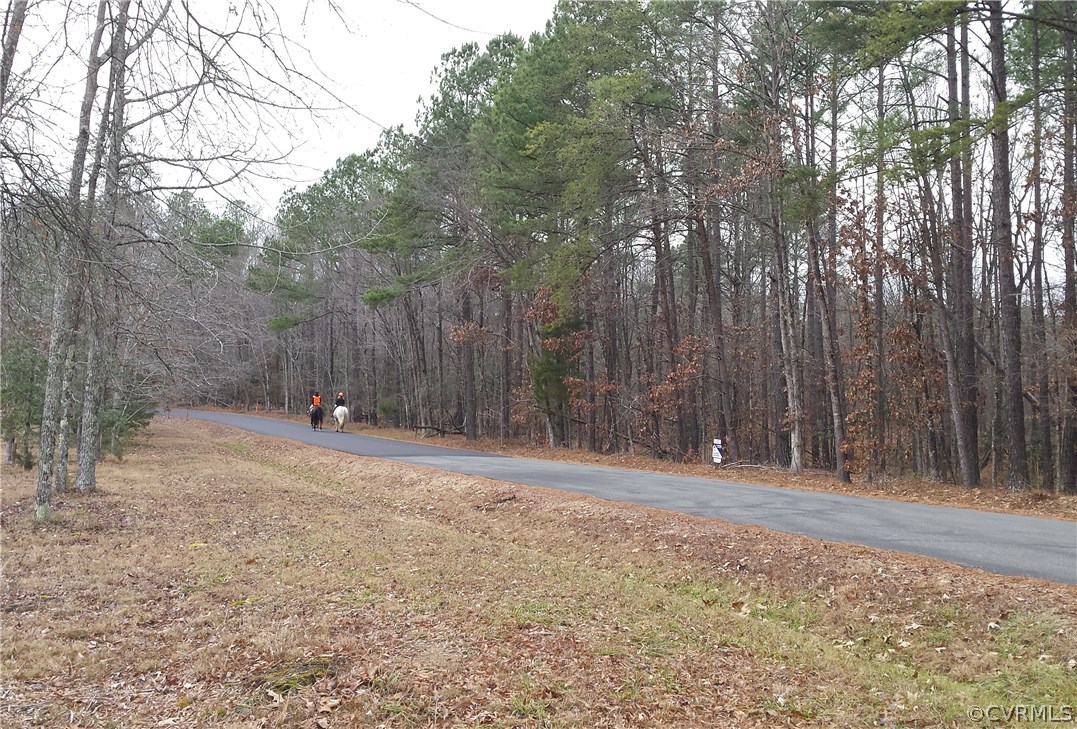 a view of outdoor space with trees