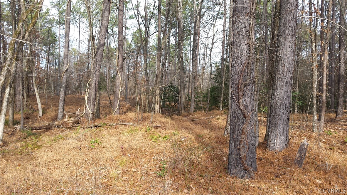 1970 Covington Road Crozier, VA 23039 - Photo 5 of 5 a view of a yard with large trees