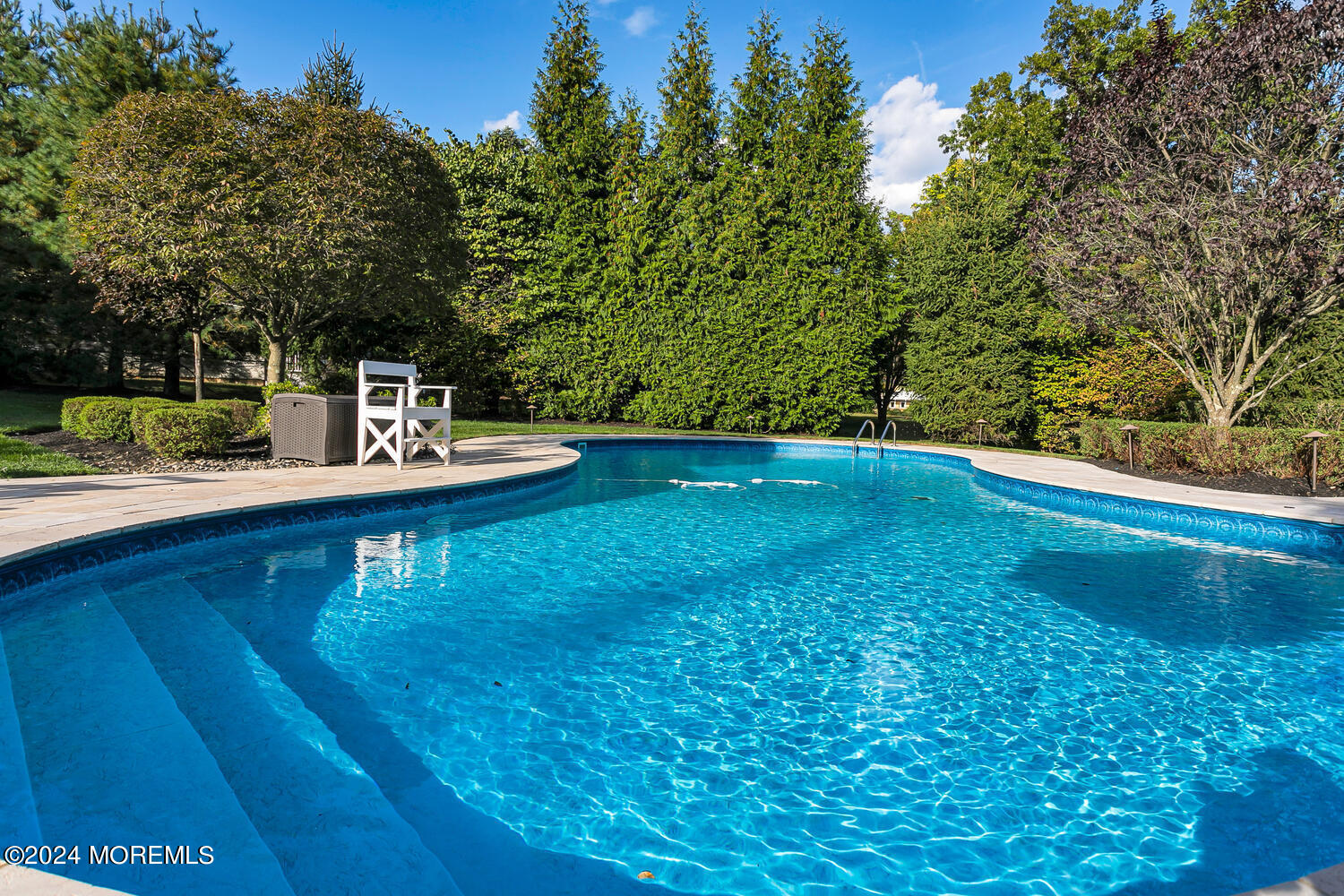 19 Old Phalanx Road Lincroft, NJ 07738 - Photo 53 of 68 Pool Alt2