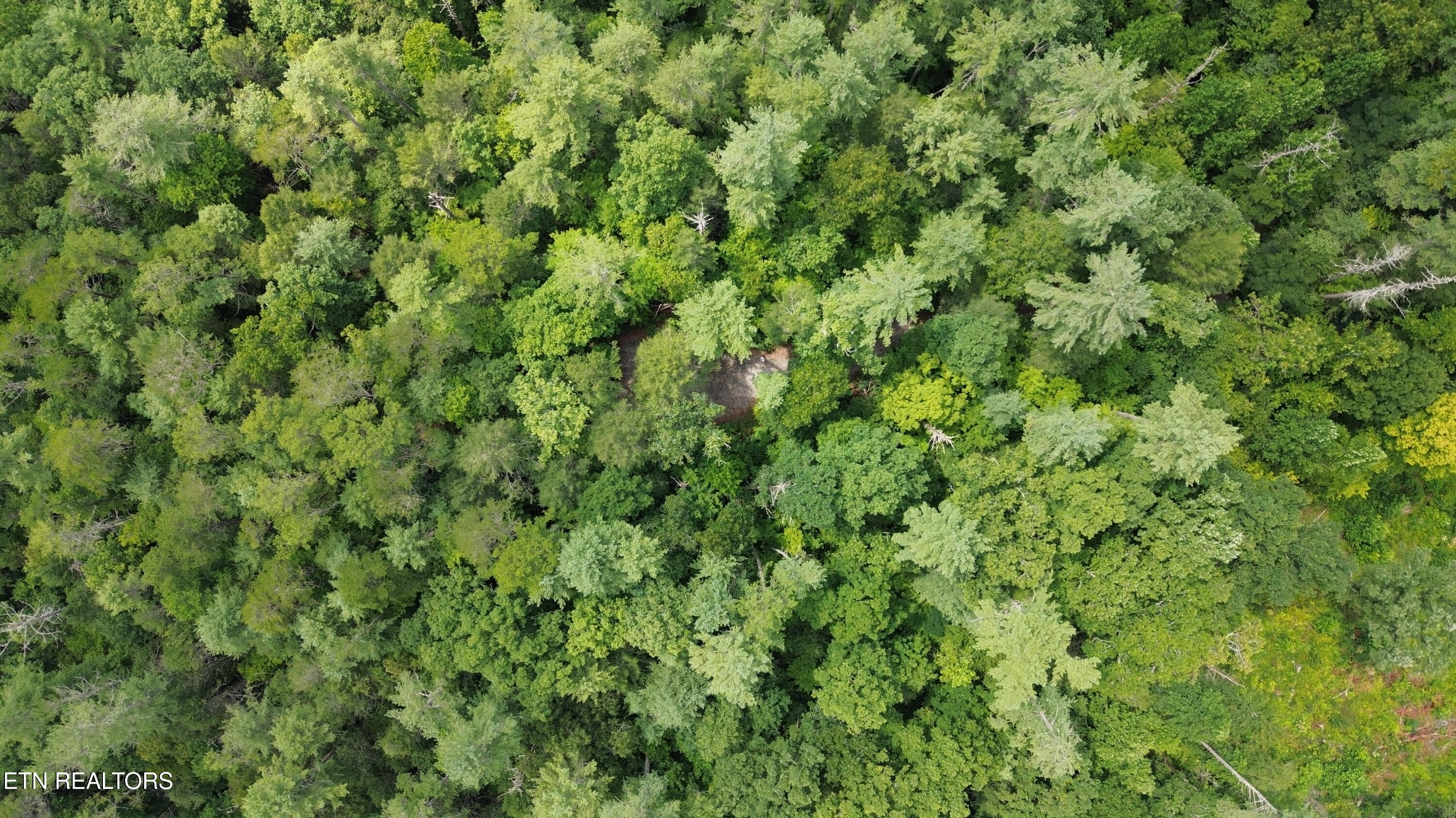 1011 Carrs Creek Road Townsend, TN 37882 - Photo 5 of 13 Drone 2