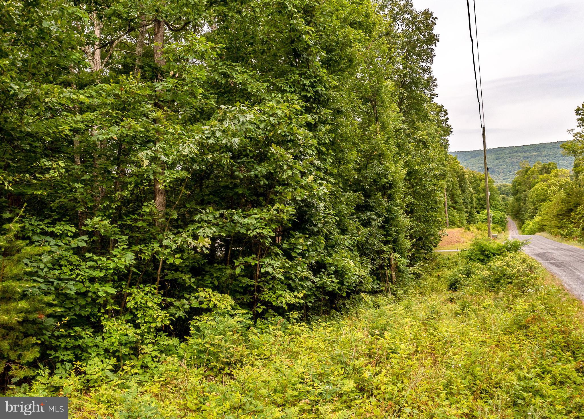 Fable Road Hedgesville, WV 25427 - Photo 9 of 14