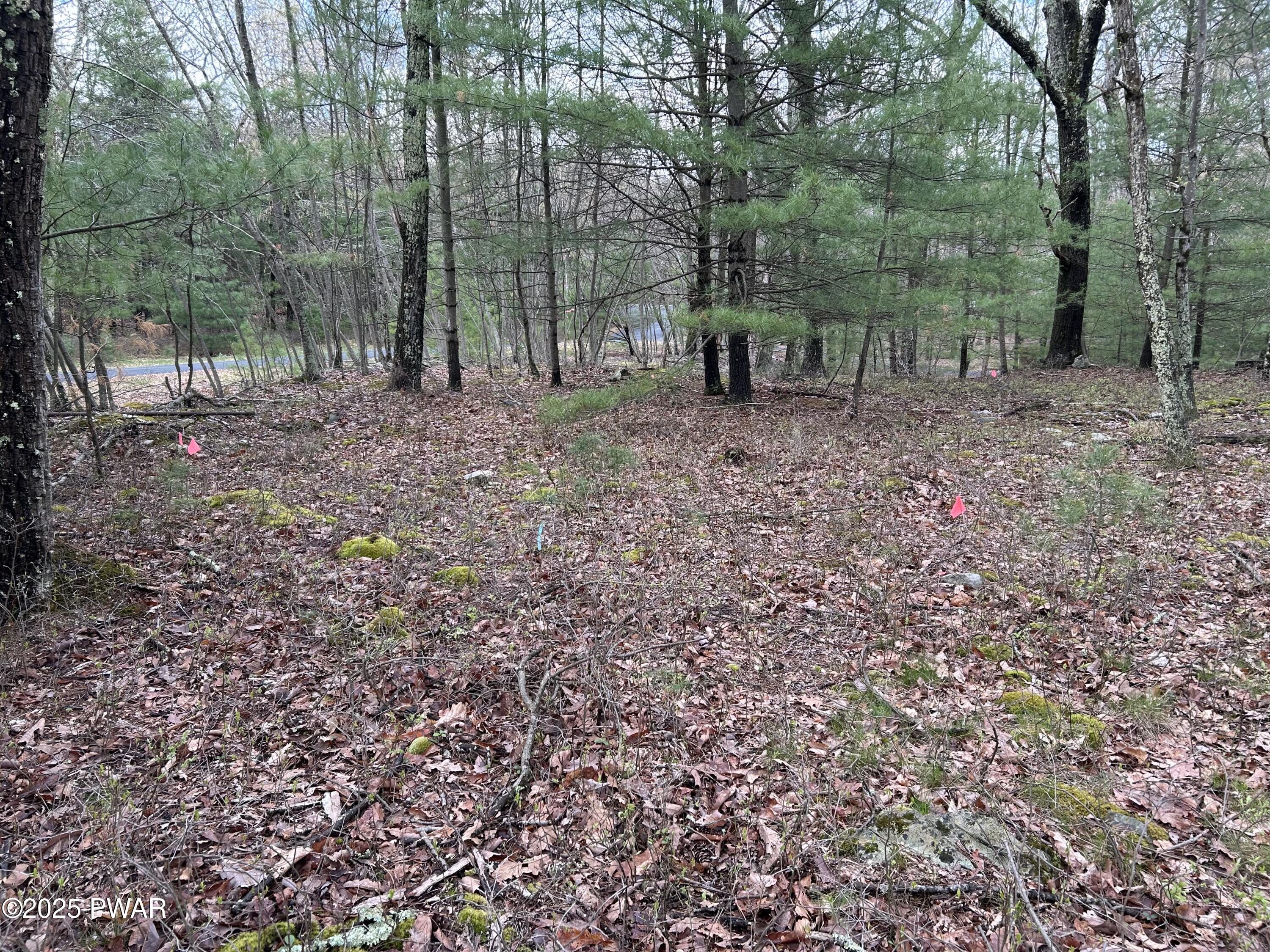 Lot 129 Pitch Pine Road Dingmans Ferry, PA 18328 - Photo 9 of 13