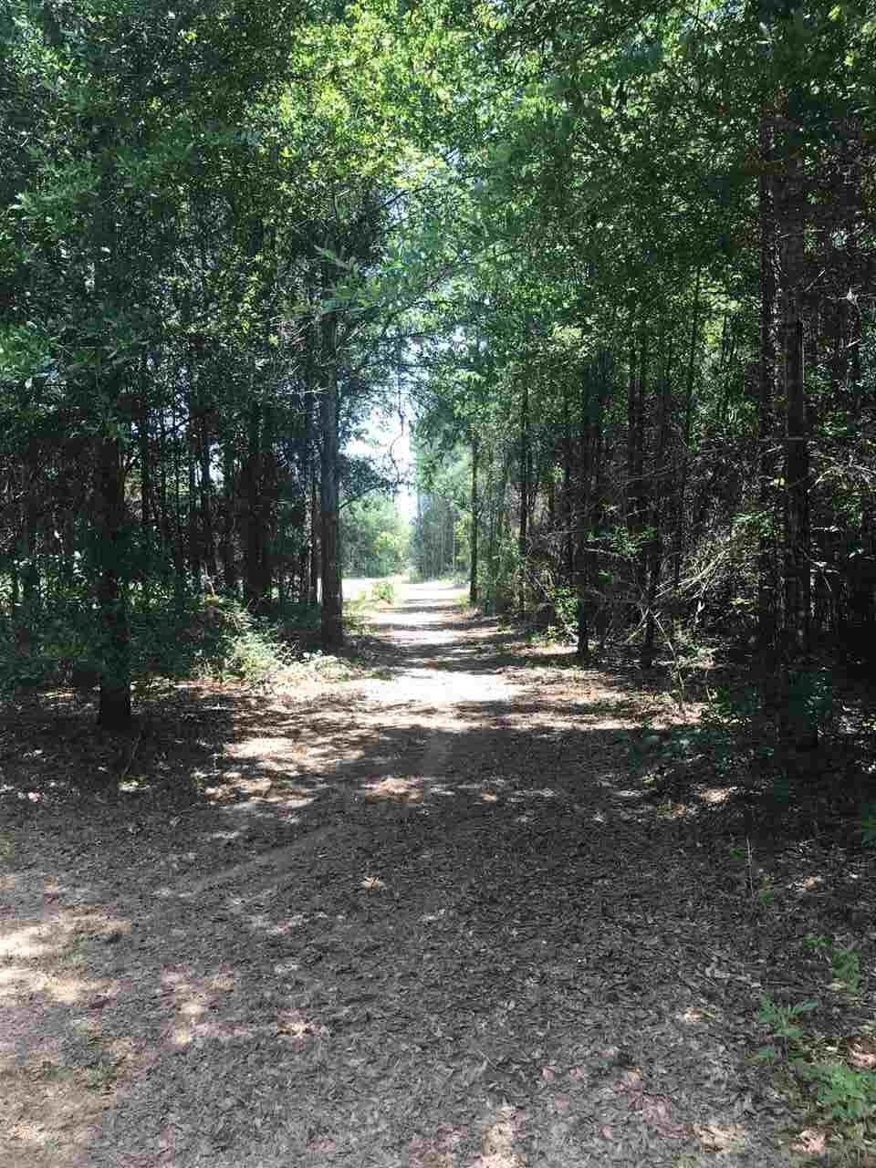 9342 Nichols Lake Road Milton, FL 32583 - Photo 2 of 10