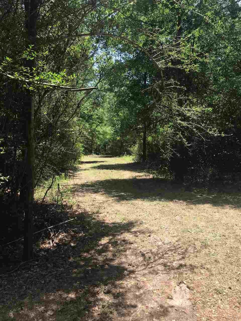 9342 Nichols Lake Road Milton, FL 32583 - Photo 3 of 10
