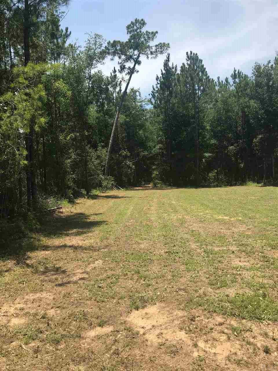 9342 Nichols Lake Road Milton, FL 32583 - Photo 6 of 10