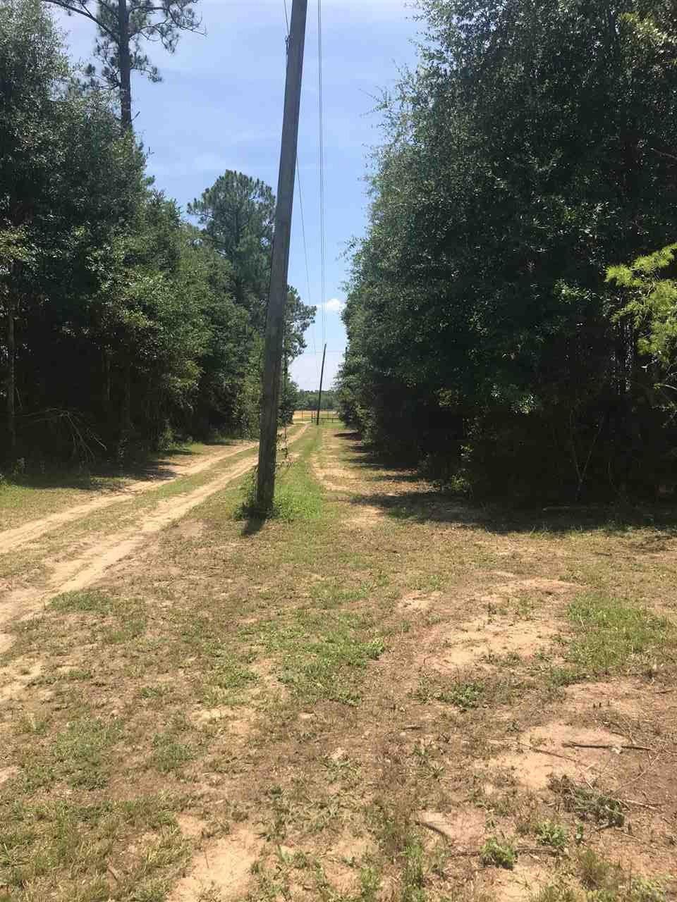 9342 Nichols Lake Road Milton, FL 32583 - Photo 7 of 10