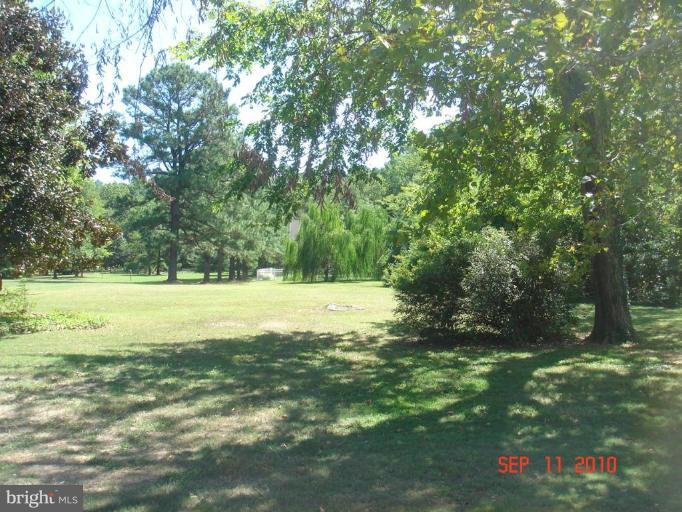 120 Riverside Drive Cambridge, MD 21613 - Photo 5 of 10 Back yard
