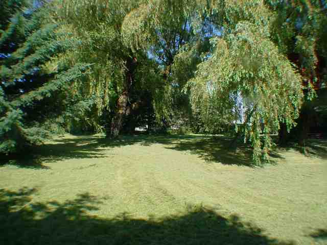 185 3rd Street Waverly, WA 99039 - Photo 2 of 3