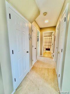 6833 County Farm Road Lexington, MI 48450 - Photo 26 of 56