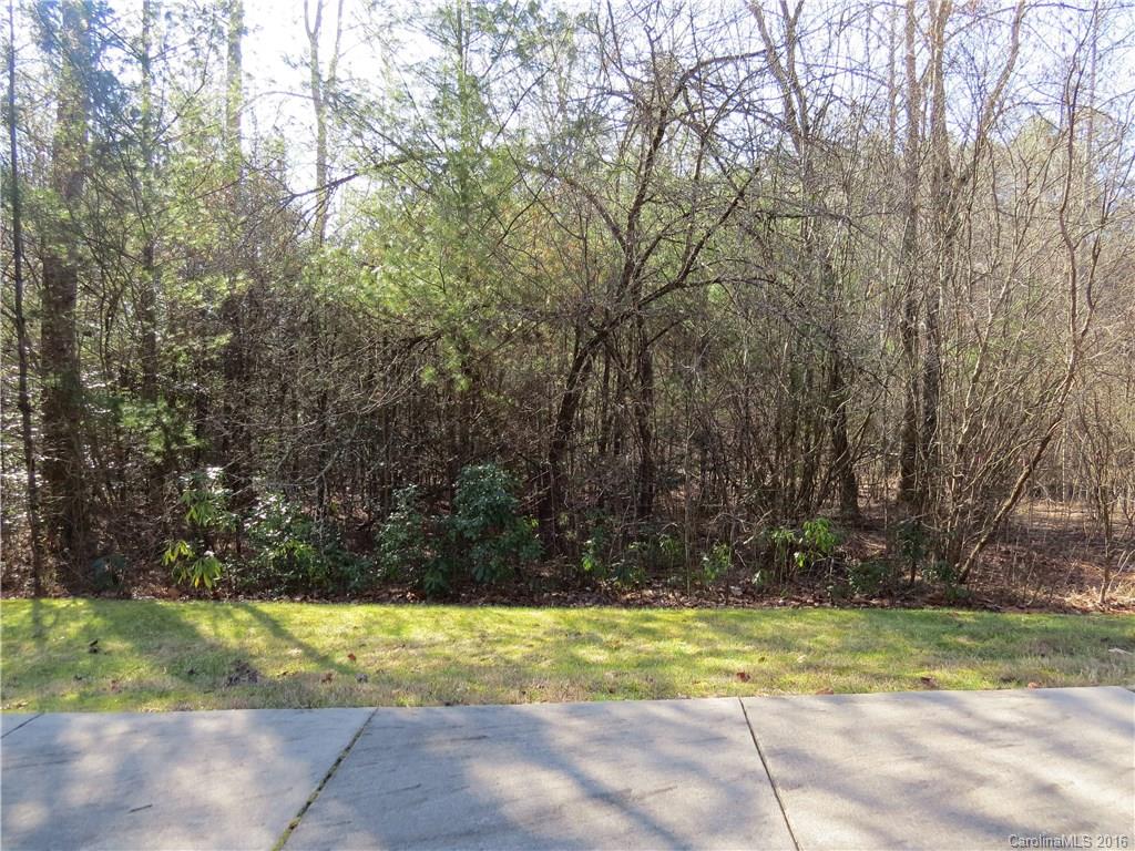 M148 Camptown Road Brevard, NC 28712 - Photo 1 of 10 Gallery Image 1