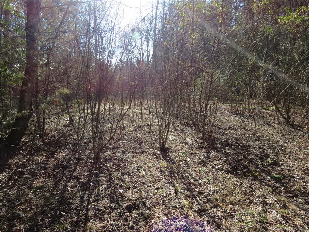 M148 Camptown Road Brevard, NC 28712 - Photo 3 of 10 Gallery Image 3