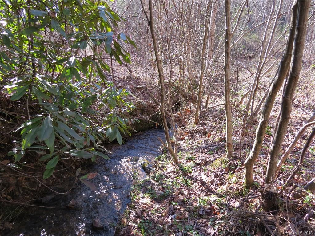 M148 Camptown Road Brevard, NC 28712 - Photo 4 of 10 Gallery Image 4