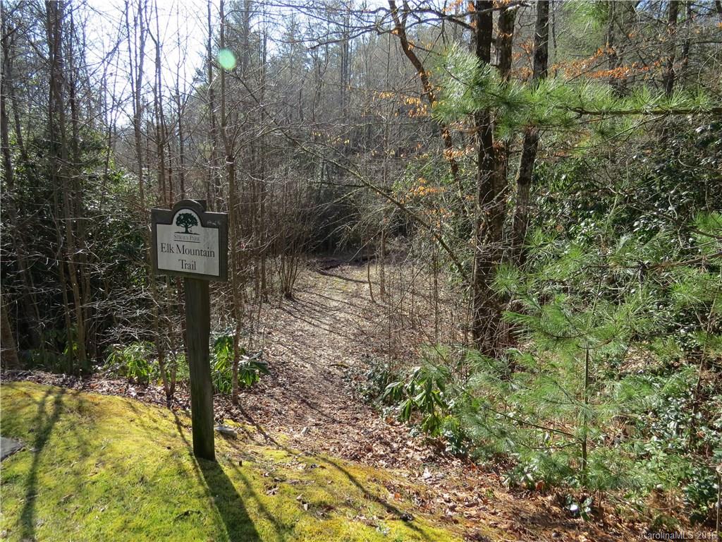 M148 Camptown Road Brevard, NC 28712 - Photo 5 of 10 Gallery Image 5