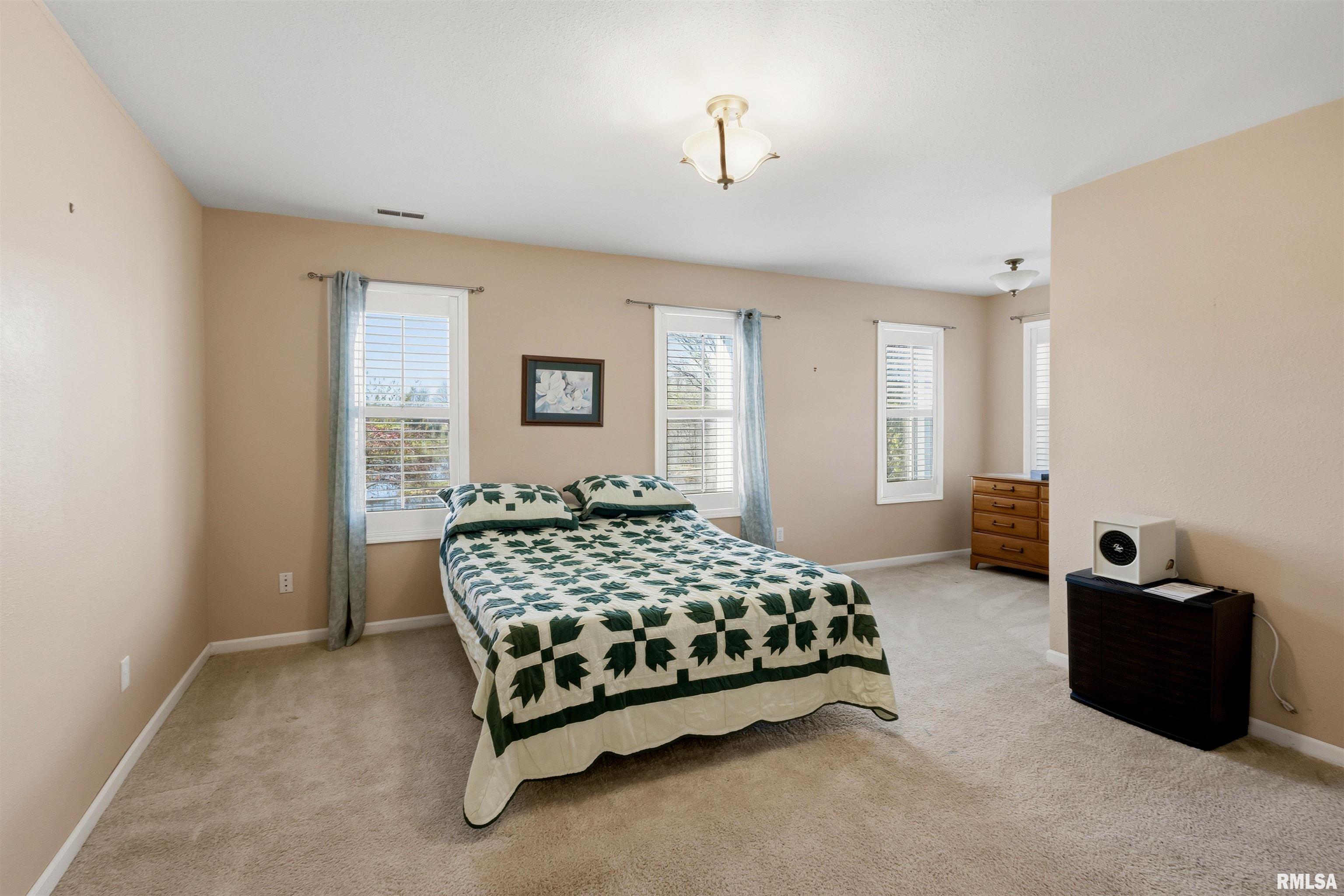 450 Spring Hill Lane Cobden, IL 62920 - Photo 18 of 38