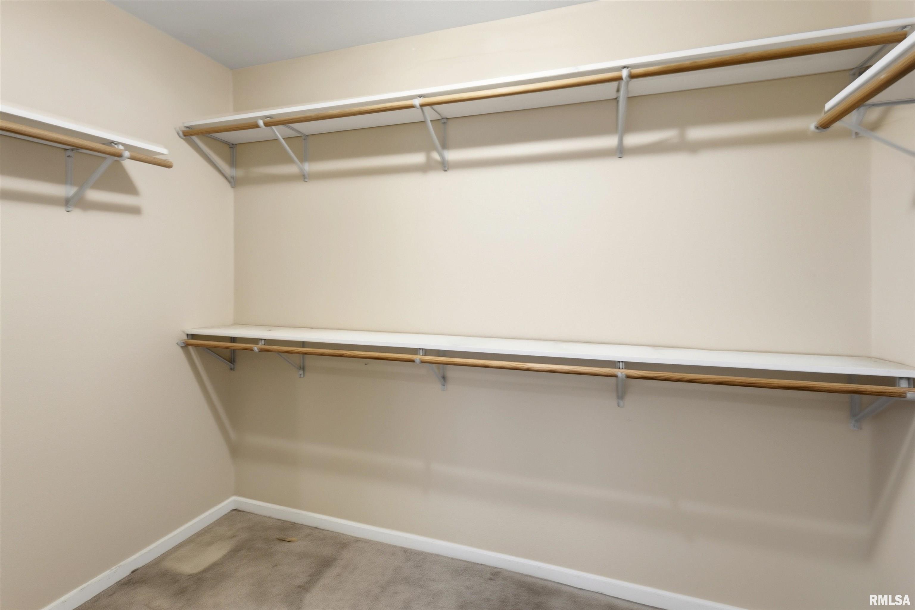 450 Spring Hill Lane Cobden, IL 62920 - Photo 21 of 38