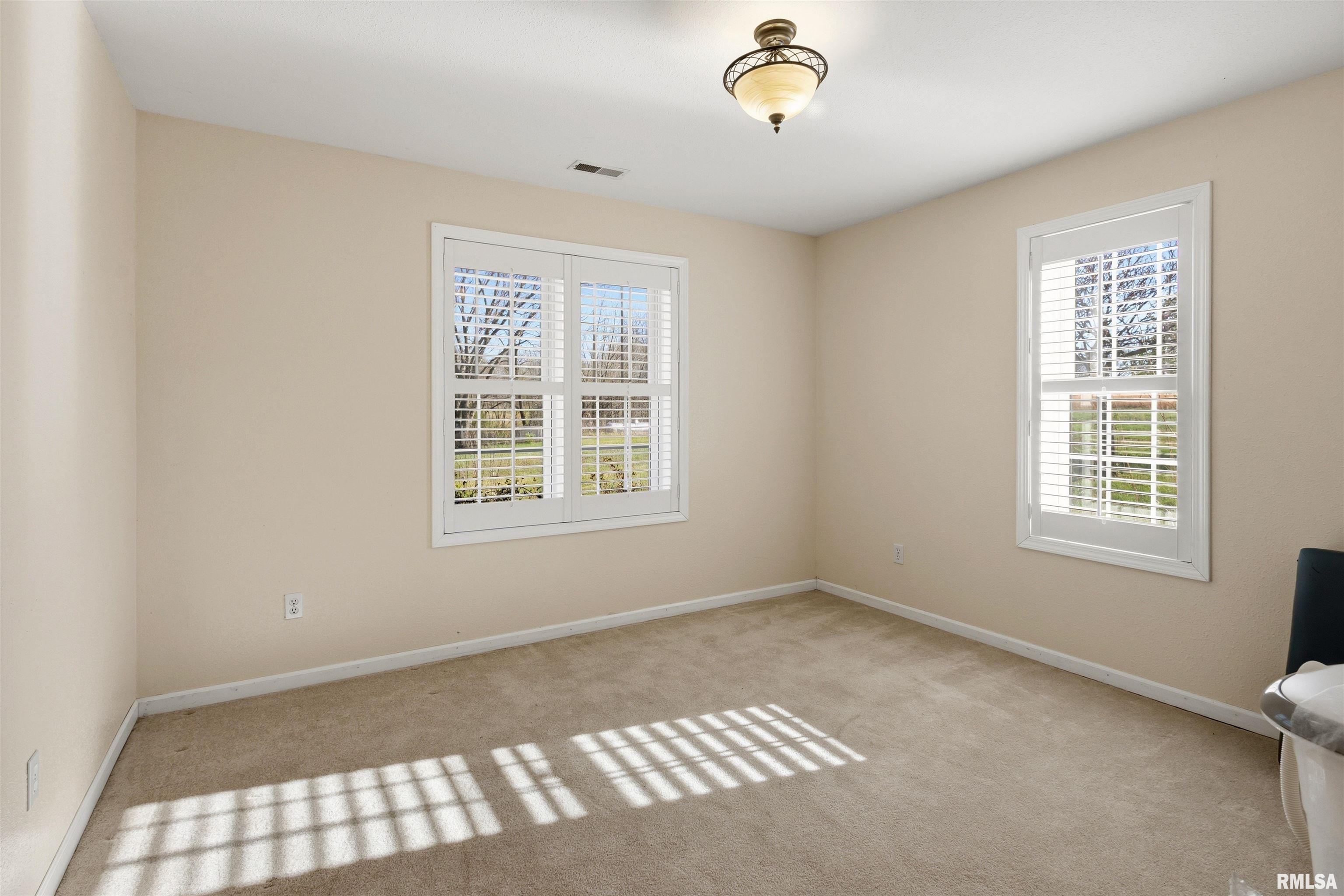 450 Spring Hill Lane Cobden, IL 62920 - Photo 22 of 38