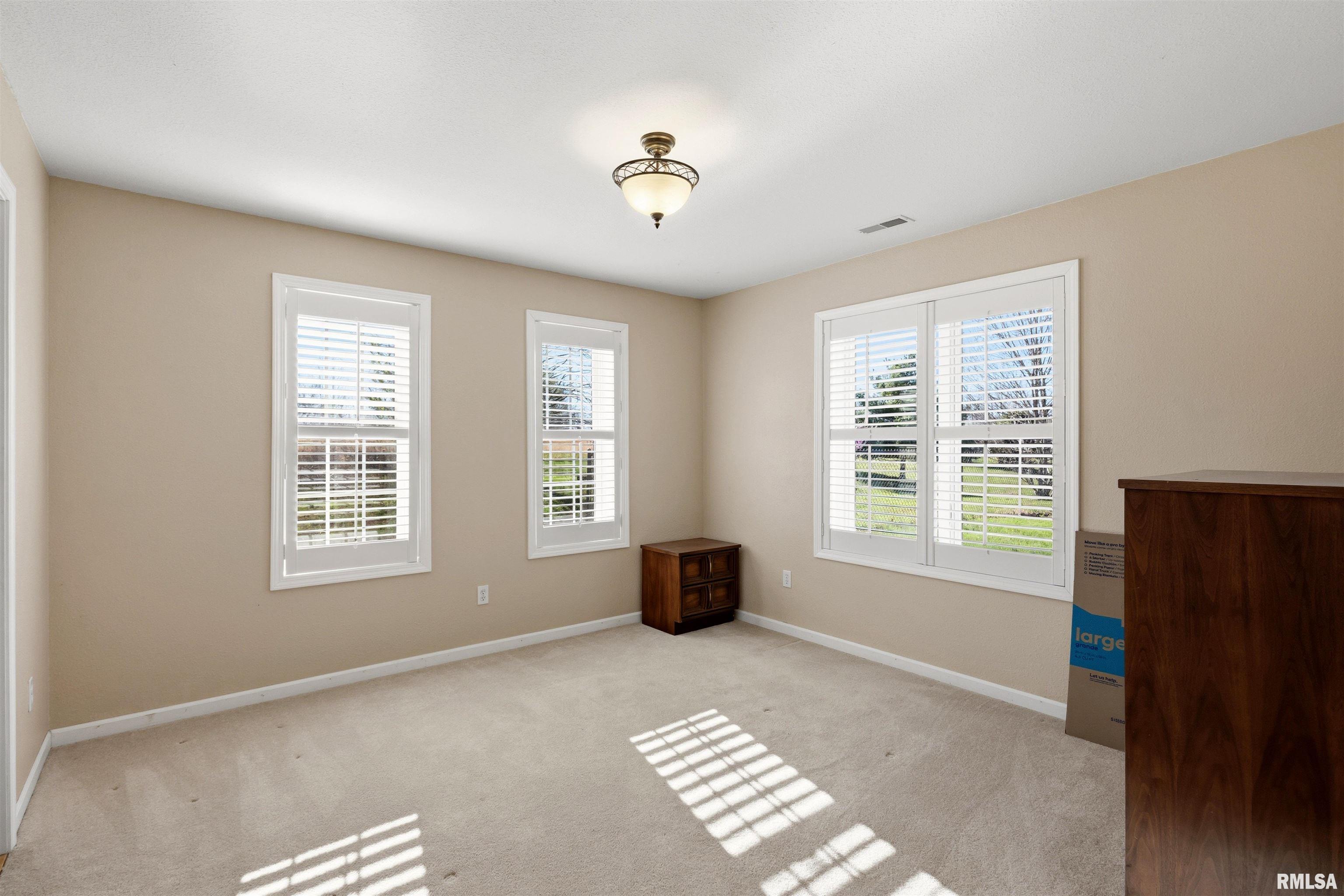 450 Spring Hill Lane Cobden, IL 62920 - Photo 26 of 38