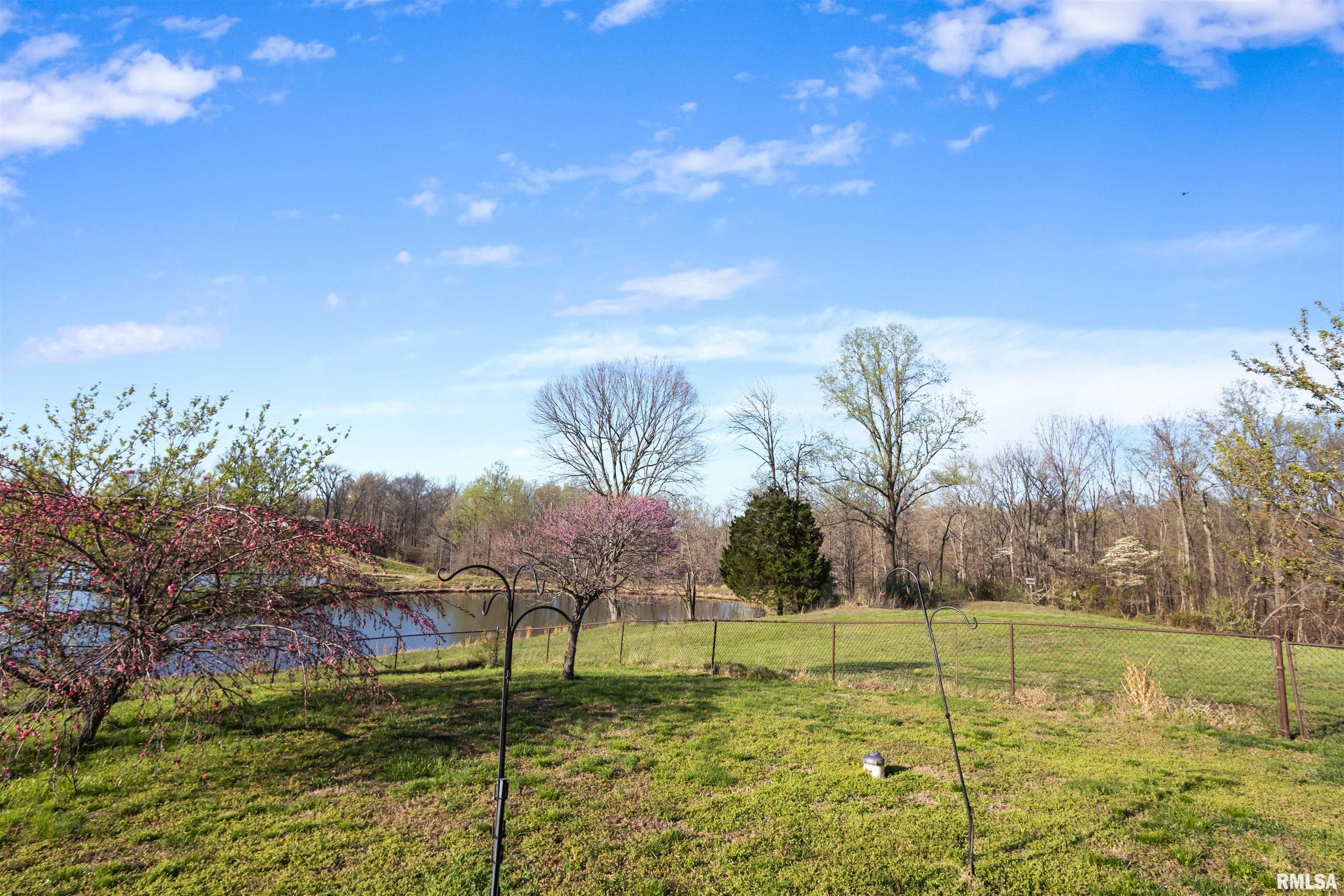 450 Spring Hill Lane Cobden, IL 62920 - Photo 33 of 38