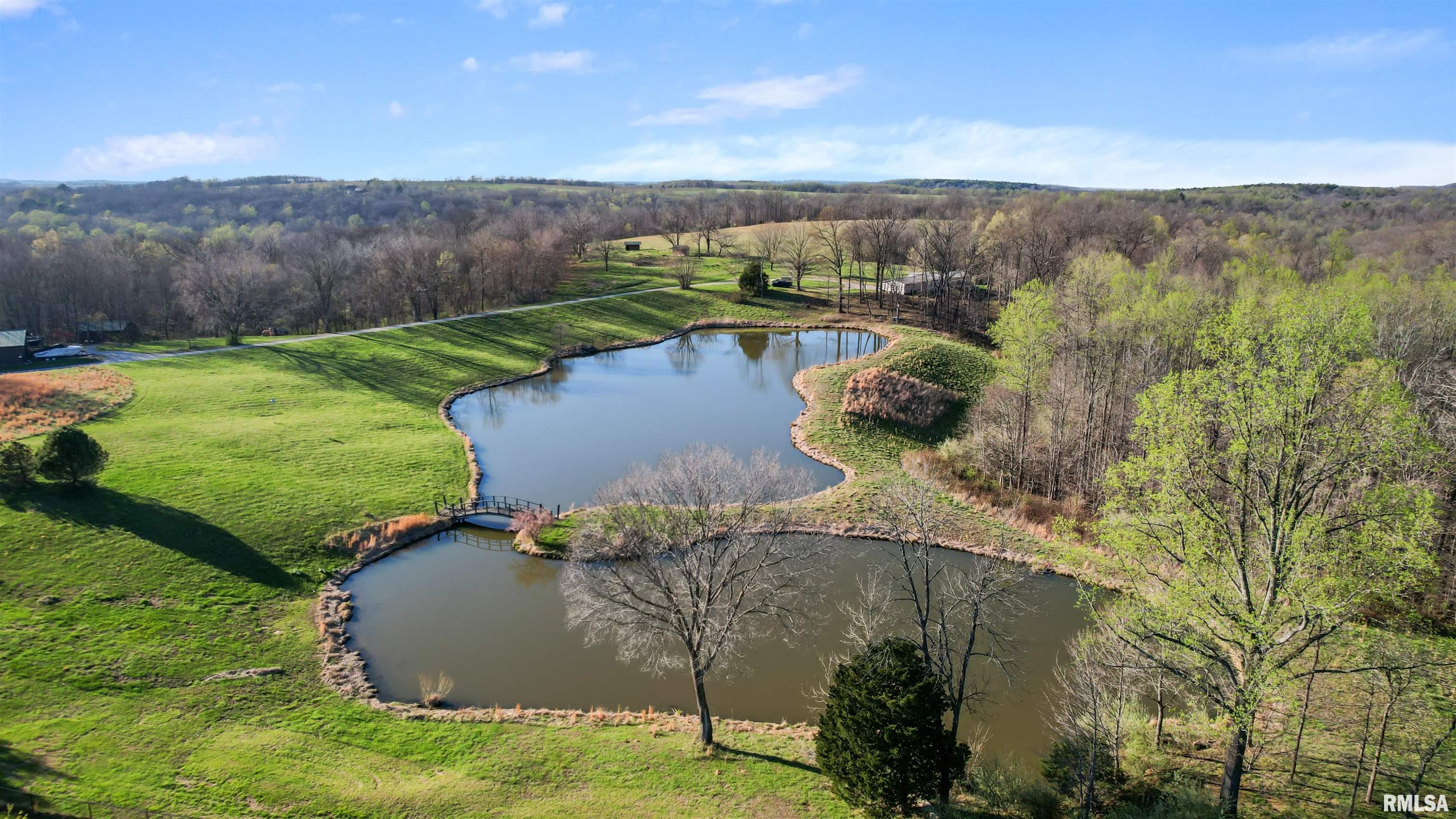 450 Spring Hill Lane Cobden, IL 62920 - Photo 5 of 38