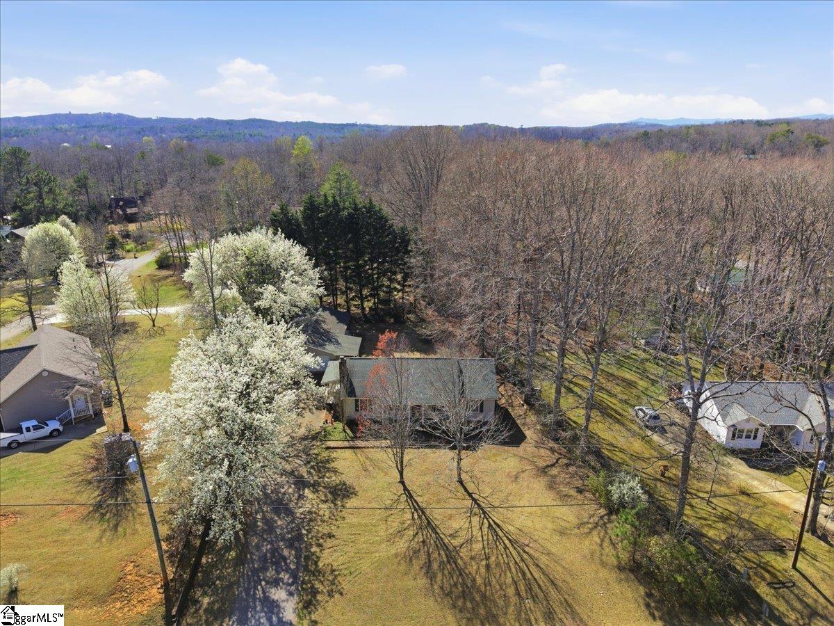 76 Old Boswell Road Travelers Rest, SC 29690 - Photo 4 of 31 Gallery Image 4