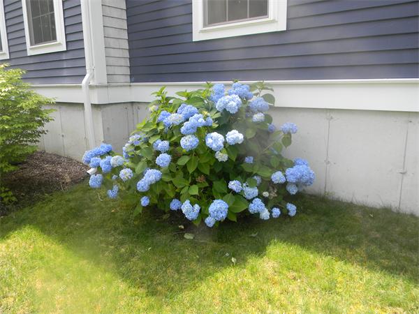 43 Emery Road Marshfield, MA 02050 - Photo 5 of 21 Gallery Image 5