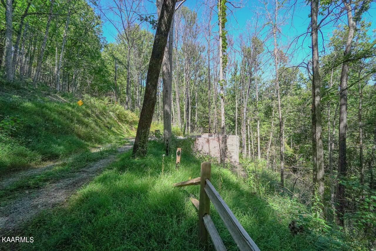 5028A1A2-E7F1-4DD0-8468-CCB145FE91EA