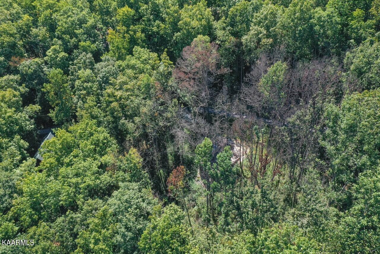 2615 McGill Road Sevierville, TN 37862 - Photo 11 of 13 94D3E7F4-0FF5-4089-8BB2-587DFC7F9942